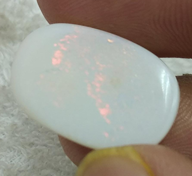 Opal 20